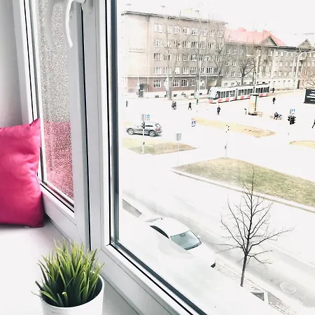 Cozy Apartamento