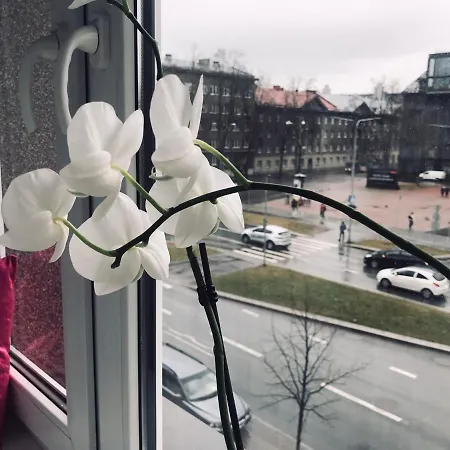 Apartment Cozy Reval